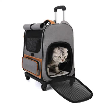 Foldable Cat Trolley Carrier with Wheels – Grey